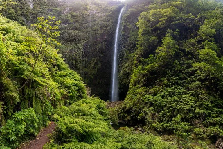 Waterfall in levada de caldeirao verde